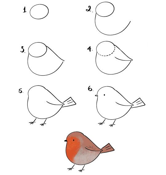 Пошаговый рисунок птицы