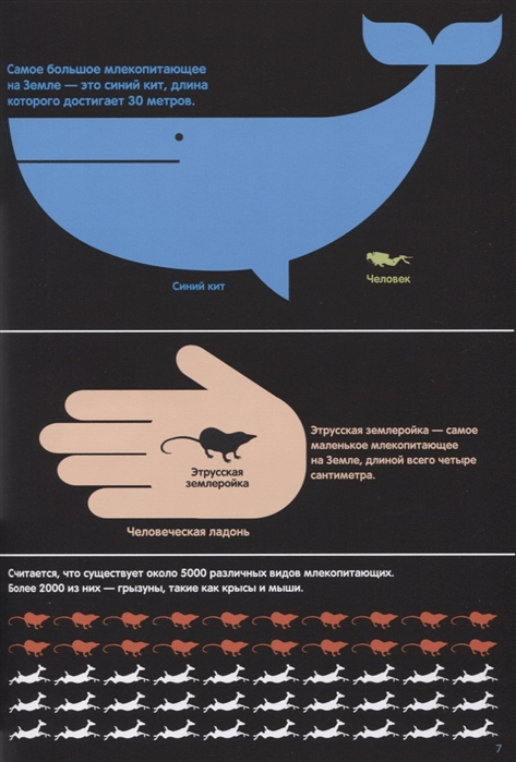 В мире животных. Инфографика
